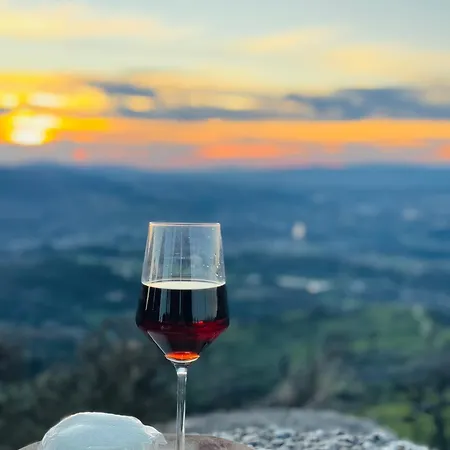 Streliciahouse * Брага