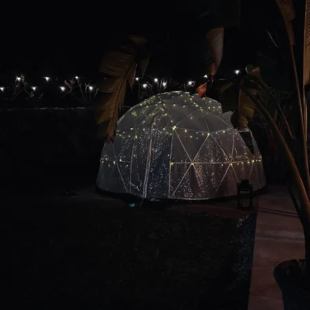 Streliciahouse * Брага