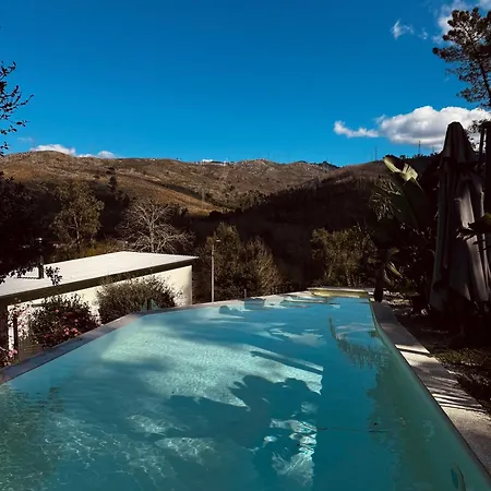 Streliciahouse Дом отдыха