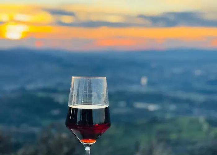 Streliciahouse * Braga